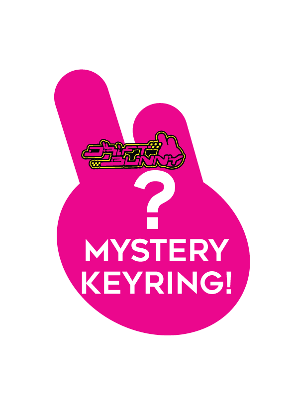 Mystery Keyrings!