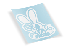 10 years of Drift Bunny! -Drifting Bunny 2.0 2014  Drift bunny decals